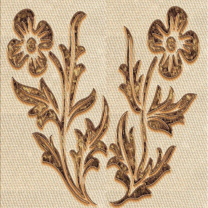 Machine Washable Transitional Bronze Brown Rug, wshpat916org