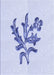 Patterned Lavender Blue Rug, pat917blu