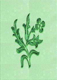 Machine Washable Transitional Mint Green Rug, wshpat917grn
