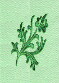 Machine Washable Transitional Mint Green Rug, wshpat919grn