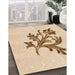 Machine Washable Transitional Bronze Brown Rug in a Family Room, wshpat919org