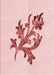 Patterned Light Rose Pink Rug, pat919rd