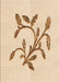 Patterned Brown Sand Brown Rug, pat920org