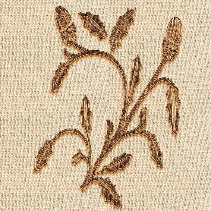 Patterned Brown Sand Brown Rug, pat920org