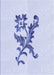 Patterned Lavender Blue Rug, pat923blu