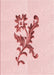 Patterned Pink Rug, pat923rd
