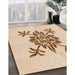 Machine Washable Transitional Bronze Brown Rug in a Family Room, wshpat924org