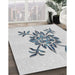 Machine Washable Transitional Silver Gray Rug in a Family Room, wshpat924