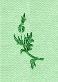 Machine Washable Transitional Mint Green Rug, wshpat927grn