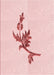 Patterned Pastel Red Pink Rug, pat927rd