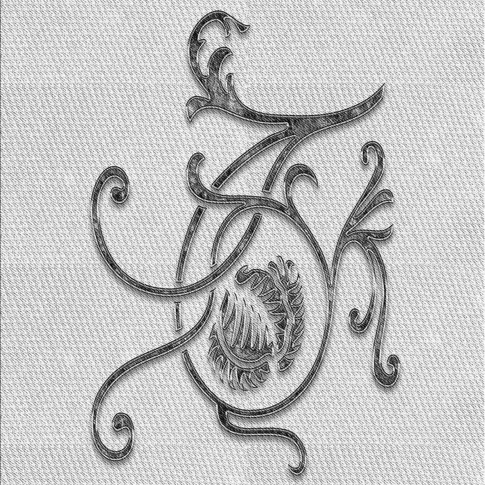 Machine Washable Transitional Platinum Gray Rug, wshpat929gry