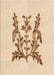 Patterned Bronze Brown Rug, pat930org