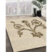 Machine Washable Transitional Peru Brown Rug in a Family Room, wshpat932brn