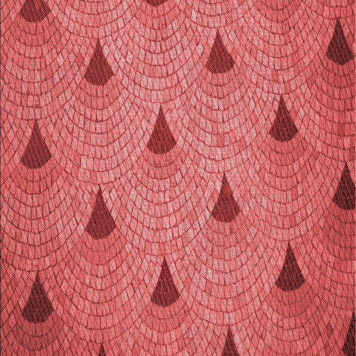 Machine Washable Transitional Red Rug, wshpat935rd