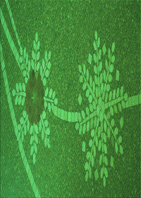 Machine Washable Transitional Green Rug, wshpat936grn
