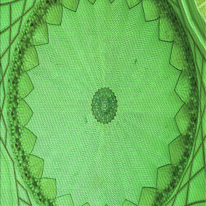 Patterned Emerald Green Rug, pat938grn