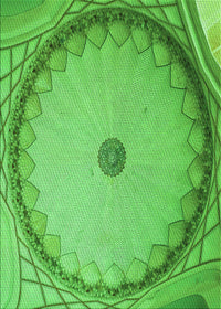 Machine Washable Transitional Emerald Green Rug, wshpat938grn