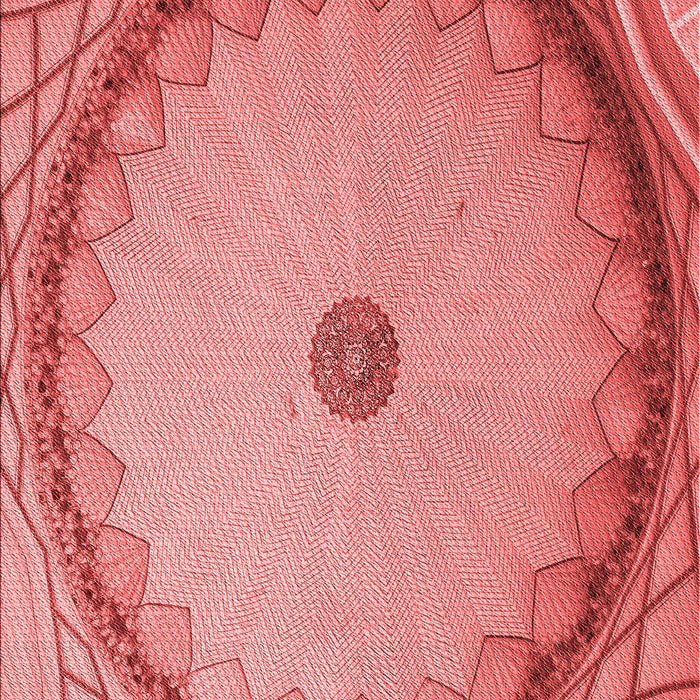 Patterned Light Coral Pink Rug, pat938rd