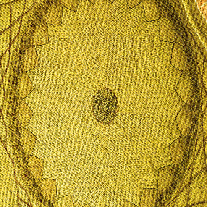 Patterned Dark Bisque Brown Rug, pat938yw