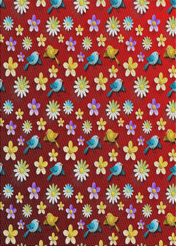 Machine Washable Transitional Tomato Red Rug, wshpat960