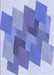 Machine Washable Transitional Blue Rug, wshpat965blu