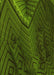 Machine Washable Transitional Dark Forest Green Rug, wshpat972yw