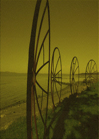Machine Washable Transitional Dark Yellow Green Rug, wshpat987yw