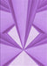 Machine Washable Transitional Violet Purple Rug, wshpat990pur
