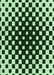 Patterned Light Green Rug, pat991grn