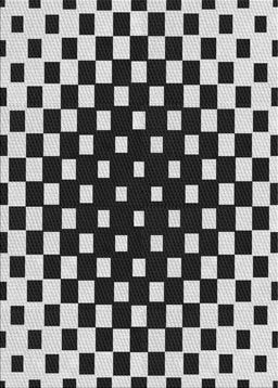 Patterned Light Gray Novelty Rug, pat991