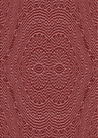 Machine Washable Transitional Red Rug, wshpat995rd