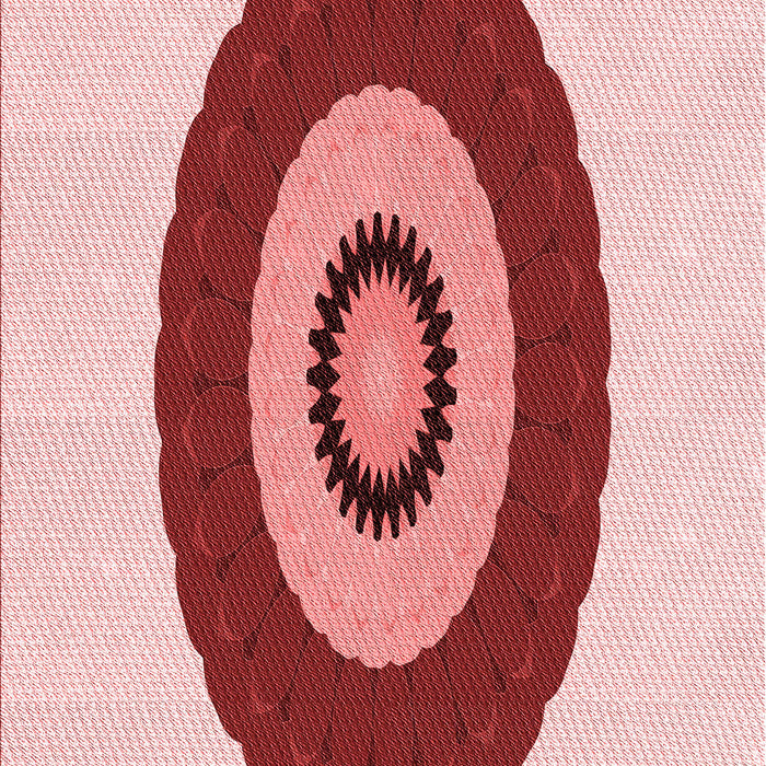 Machine Washable Transitional Red Rug, wshpat997rd