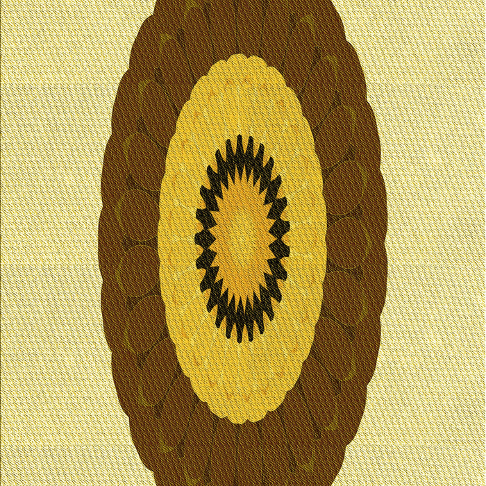 Machine Washable Transitional Dark Bisque Brown Rug, wshpat997yw