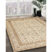 Machine Washable Traditional Khaki Gold Rug in a Family Room, wshtr1006