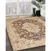 Traditional Brown Gold Medallion Rug in Family Room, tr1015