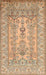 Machine Washable Traditional Light Brown Rug, wshtr1017