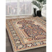 Traditional Chestnut Brown Persian Rug in Family Room, tr1021