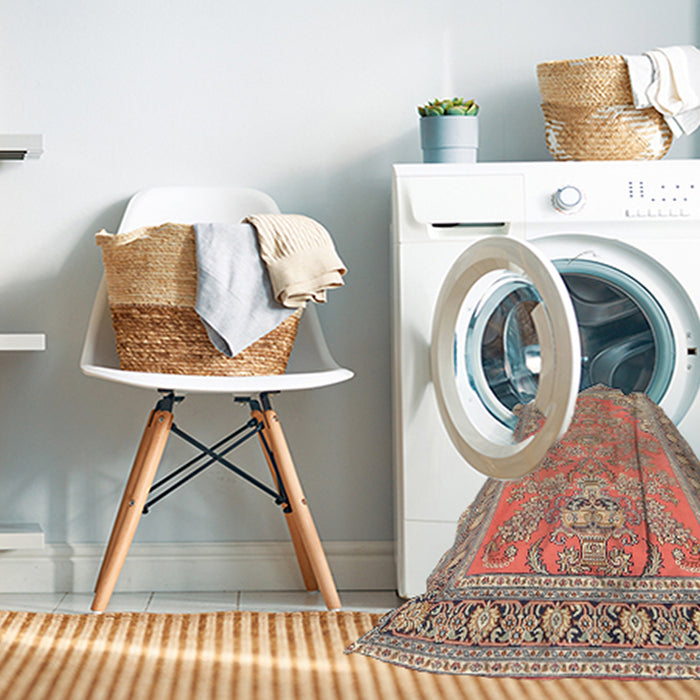 Machine Washable Traditional Brown Rug in a Washing Machine, wshtr1025