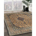 Traditional Sand Brown Medallion Rug in Family Room, tr1031