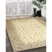 Traditional Khaki Gold Persian Rug in Family Room, tr1035