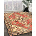 Traditional Mahogany Brown Persian Rug in Family Room, tr1038