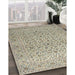 Machine Washable Traditional Khaki Gold Rug in a Family Room, wshtr1045
