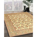 Machine Washable Traditional Mustard Yellow Rug in a Family Room, wshtr1053