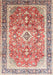 Traditional Brown Red Medallion Rug, tr1058