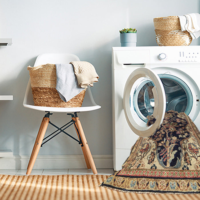 Machine Washable Traditional Sepia Brown Rug in a Washing Machine, wshtr1061