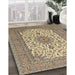 Machine Washable Traditional Sepia Brown Rug in a Family Room, wshtr1065