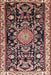 Traditional Red Animal Rug, tr1071