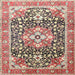 Square Traditional Brown Persian Rug, tr1088