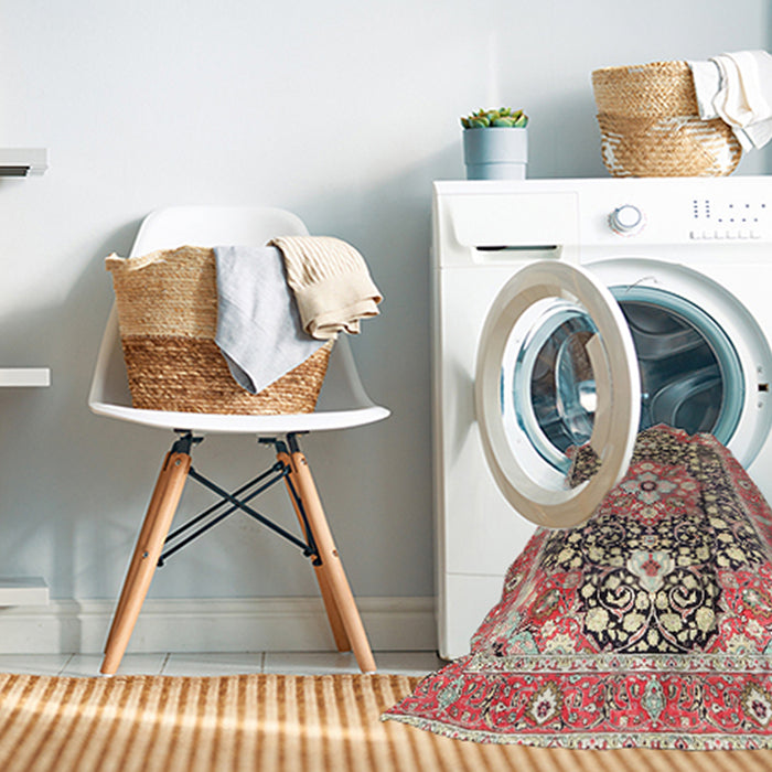 Machine Washable Traditional Brown Rug in a Washing Machine, wshtr1088