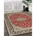 Traditional Red Medallion Rug in Family Room, tr1092